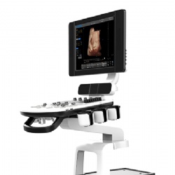 Ultrasound System